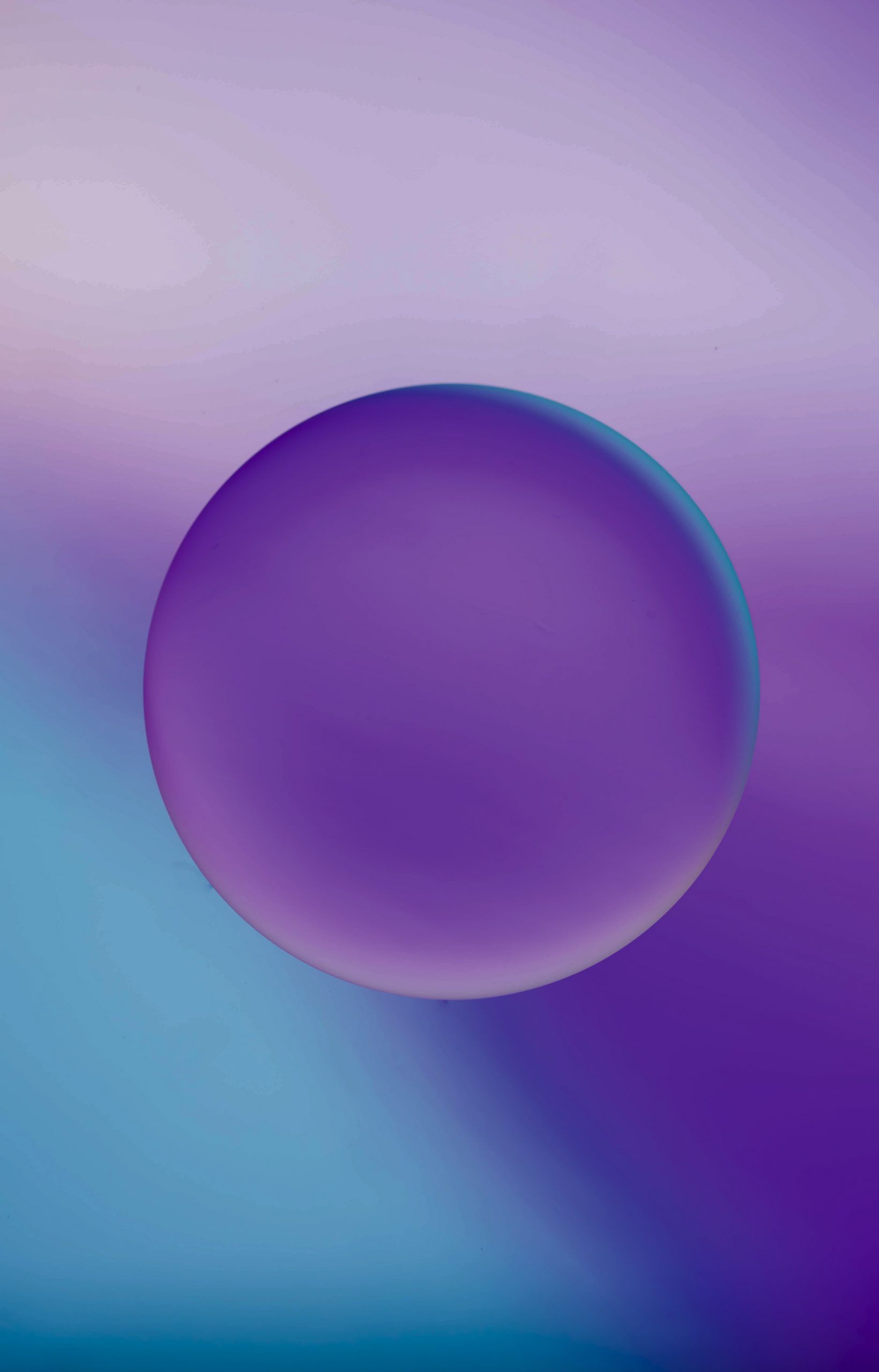 How to Prepare a Business Plan from Scratch